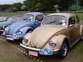 Halfoogst Oldtimertreffen te Zutendaal (6)